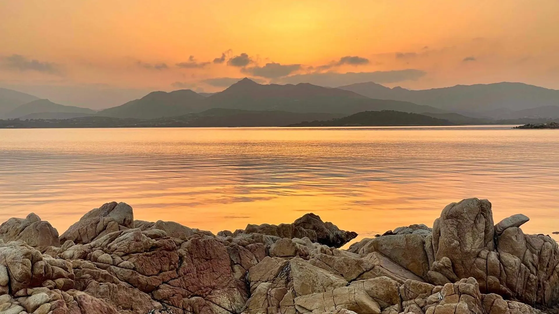 Lejlighed Punta Est Bellissimo 3 Camere Vista Mare Capo Coda Cavallo Italien
