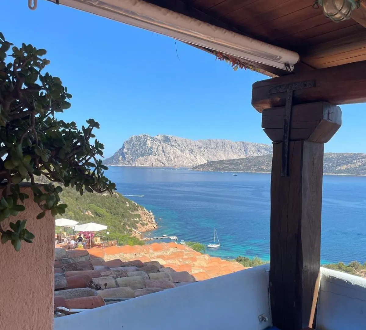 Punta Est Bellissimo 3 Camere Vista Mare Capo Coda Cavallo Italy